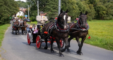 Petrovice u Karviné - 4. ročník petrovických dožínek